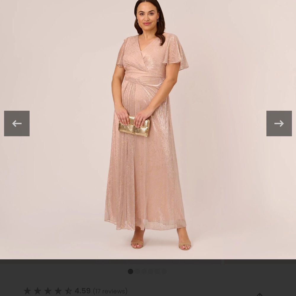 Adrianna Papell Gold and Pink Maxi Dress - Picture 7 of 7